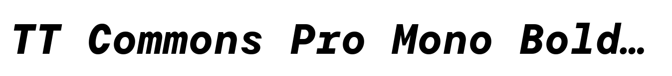 TT Commons Pro Mono Bold Italic